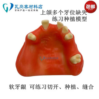 小百合模口腔練習種植模型 軟矽膠牙齦 切開翻瓣縫合鉆孔種釘培訓2024模型展示模型