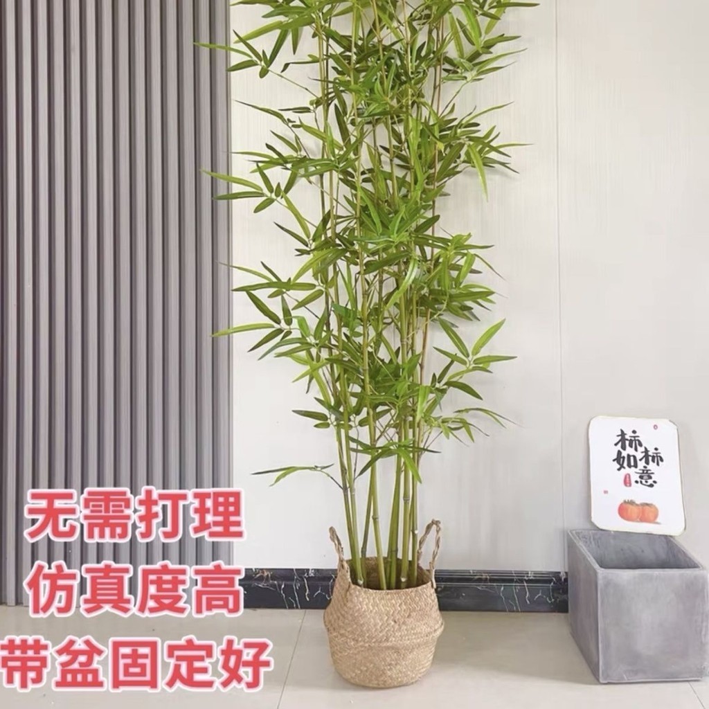 仿真竹子室內裝飾假竹子隔斷屏風擋墻造景室外裝飾竹盆栽加密綠植－小易精品鋪