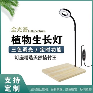 竹板可訂製🎊臺灣出貨🎊全光譜led微景觀燈苔蘚植物燈魚缸造景竹板燈三色變光植物生長燈
