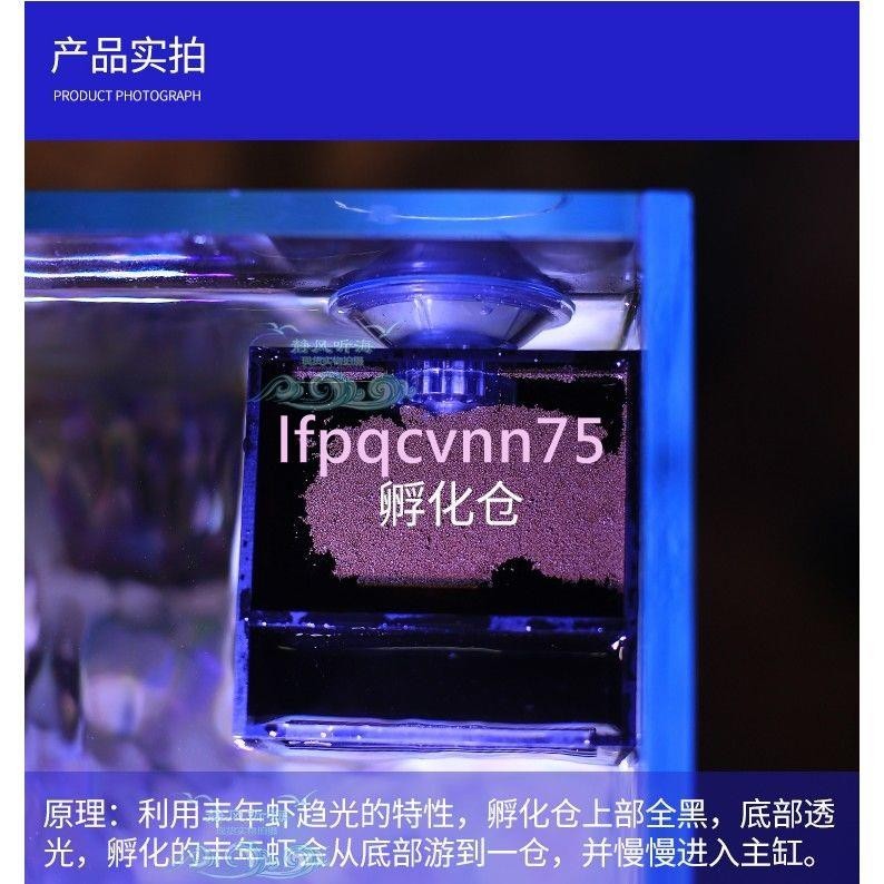 靜風聽海水族豐年蝦孵化器自動繁殖缸外孵化盒隔離盒吸盤磁吸掛鉤發🥜力推#爆品%