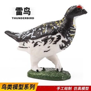 🧨臺灣出貨🧨實心兒童模擬動物模型套裝動物玩具 雷鳥 松雞科鳥類早教認知禮物