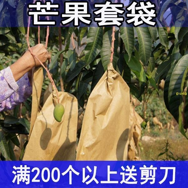 台灣👍【超讚套袋】芒果專用套袋芒果紙袋芒果套袋雙層育果袋防雨防蟲防果蠅芒果袋子