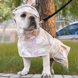 寵它 可愛 小狗 雨衣 護肚子 寵物 雨衣 小型犬 法鬥 衣服 coupang 防水寵物外套 小型犬雨具