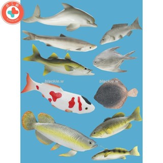 模具 模擬魚模型假鯉魚鯽魚中華鱘裝飾道具海魚大號小金魚掛裝飾道具件客廳模擬道具模擬水果618