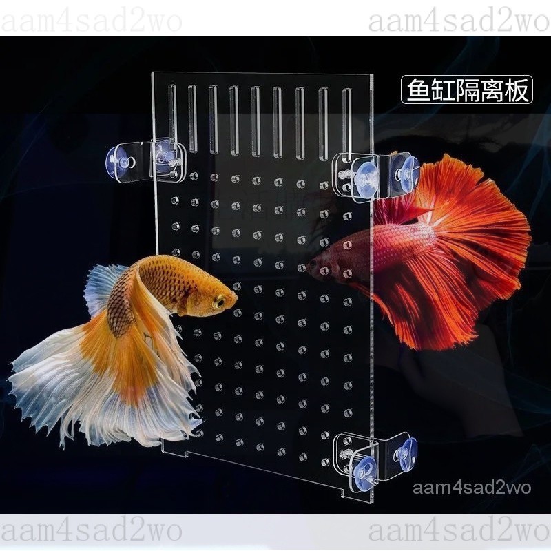 顯示特惠 定製魚缸隔離闆 水族箱隔闆 魚缸蓋闆 魚缸壓剋力隔闆 水族箱隔離闆魚缸隔闆水族隔闆鬥魚隔闆水族箱隔闆 魚缸隔離