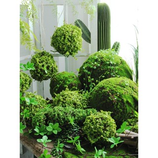 ▼JVW模擬青苔球超大號苔蘚球森系熱帶雨林植物角造景商場櫥窗懸掛吊飾