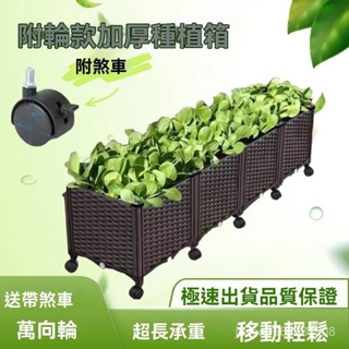 ✨臺灣熱賣✨ 種植箱帶輪子種菜盆陽臺蔬菜花箱長方形傢庭戶外塑膠種菜專用箱