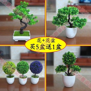新竹出貨☀買5送1小盆栽 辦公室盆栽 盆栽 花盆 假盆栽 模擬盆栽 仿真植物盆栽 假植物桌面盆栽 迷你盆栽 仿真植物