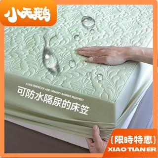 【小天鵝】🔥新款🔥防水隔尿床包 夾棉床包 加厚床墊 保護罩 防塵墊 純色簡約風 四季通用 單人/雙人/加大/特大床包