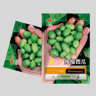 拇指西瓜🔥A163 拇指西瓜種子 迷你西瓜迷你水果種子小西瓜籽庭院易種植 原廠包裝 一包約50粒 發芽率高95%