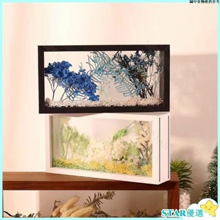 😀桃園出貨😀 實木雙面透明相框 方形雙面加厚亞克力玻璃永生花相框 白色原木色胡桃色立體中空相框 乾花標本展示框架擺檯