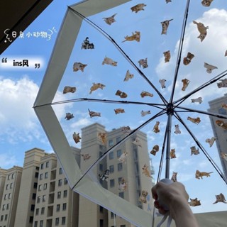 便捷折疊傘☂️ 折疊透明雨傘網紅傘小清新長柄傘全自動加厚可愛小貓咪學生折疊傘