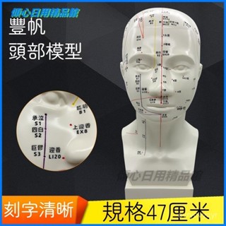 可開發票清晰頭部針灸穴位模型硬質刻字人體頭部模型中醫敎學推拿按摩按壓 頭針模型 人體模型 器官模型 人體針灸模型
