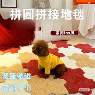 【臺灣出貨】拚圖拚接地毯 ins風 客廳 床邊 地毯 兒童房間 爬行 加厚 網紅 家用 臥室