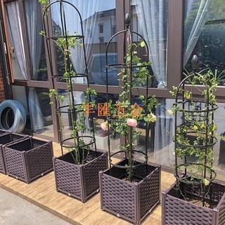 滿290出貨陽臺種菜盆 養殖箱 花盆 菜盆 蔬菜種植箱 種植盆 種植箱 樓頂專用葡萄薔薇月季花箱花槽大號果樹盆