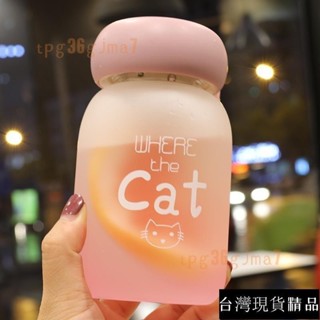 【臺灣熱銷 購滿99出貨】優選精品 大肚玻璃杯 可愛磨砂隨手杯 帶茶隔防漏水杯 小清新簡約學生花茶杯女