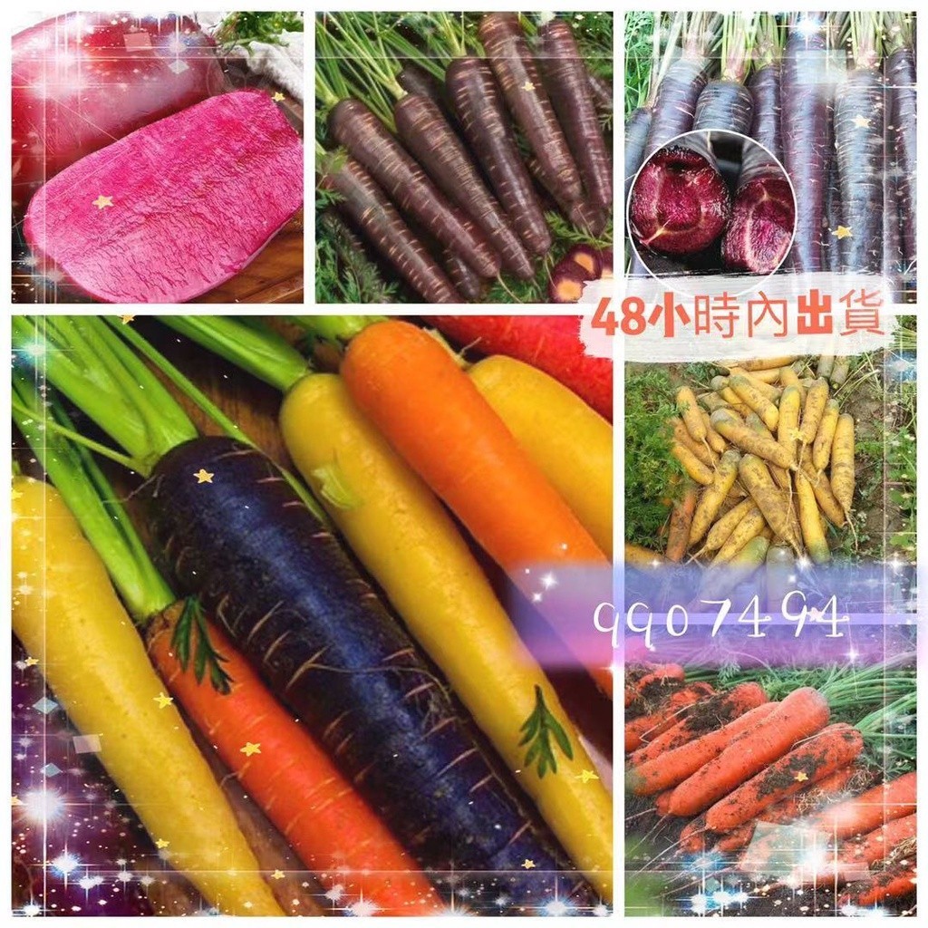 🧙‍園藝家🌱【蔬菜種子】胡蘿蔔種子櫻桃蘿蔔種子 胡蘿蔔 蔬果水果種子 四季蔬菜庭院盆栽易養易活新手種植