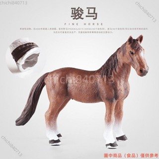 ✨臺灣廠商下殺✨兒童玩具模擬動物牧場模型套裝實心駿馬夸特馬漢諾威馬靜態馬玩偶lldd818