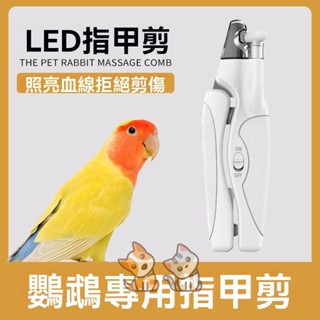 免運 寵物指甲剪 磨甲器 鳥類專用磨爪器 電動磨甲器 鸚鵡指甲剪 寵物指甲鉗 寵物防剪傷磨甲器 鳥類指甲刀