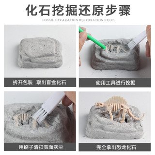 🥂模擬動物🥂兒童科敎認知恐龍動物模型玩具霸王龍盲盒考古挖掘恐龍化石骨架