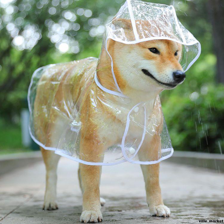 機車 電動車配件 狗狗雨衣透明大中型犬泰迪薩摩耶金毛比熊小型犬防水寵物衣服雨披