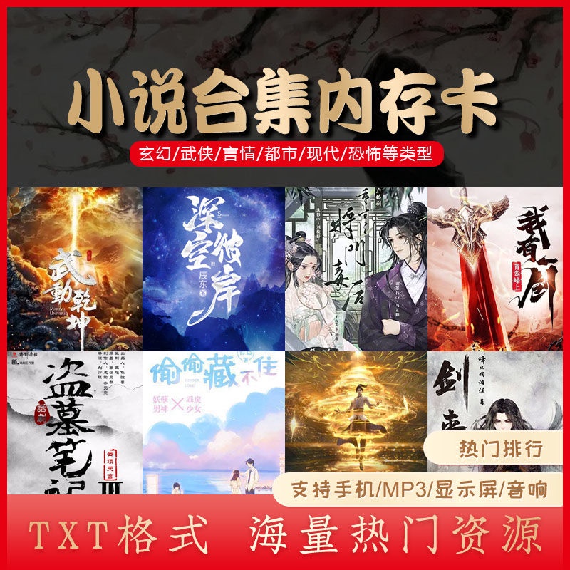 台灣熱賣-小說內存卡合集音樂存儲卡MP3文字TXT*格式電子書MP4TF卡1284