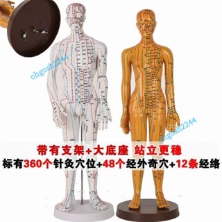人體穴位模型 人體穴位經絡模型穴位 全身十二銅人模特圖 銅人模型 穴位圖 人體模型 全身十二經絡桐人練習人偶模特