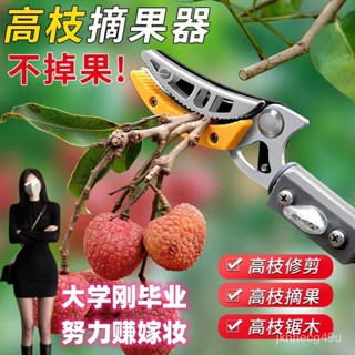 🔥免運、臺灣熱賣🔥摘香椿槐花高空高枝剪不銹鋼修枝剪刀果枝摘摘枇杷櫻桃摘伸縮 JIL1