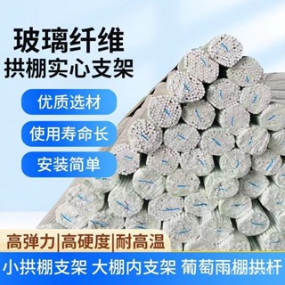 🔥蝦皮代開發票🔥 新型小拱棚支架拱桿實心玻璃縴維棒塑膠溫室養殖農用蔬菜大棚骨架 棚架 拱棚支架 菜棚支架 菜園支架 菜棚