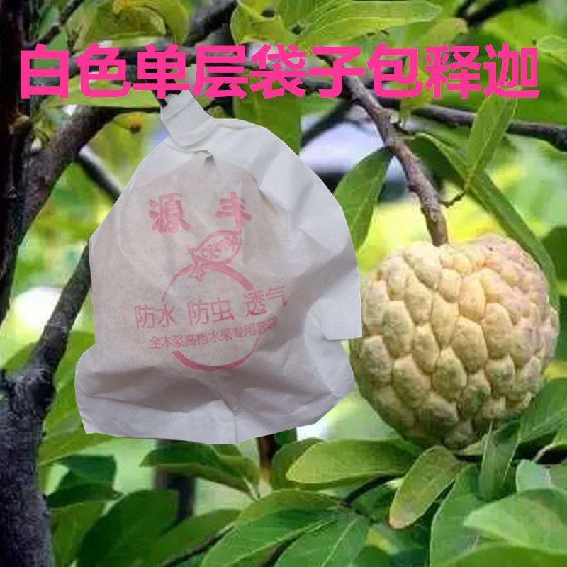 釋迦果袋專用套袋刺果番荔枝賴球佛頭果林檎紙袋牛心番荔枝保護袋