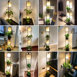 北歐ins風客廳落地燈網紅玻璃花架落地燈客廳植物氛圍沙發立式燈小柚子百貨