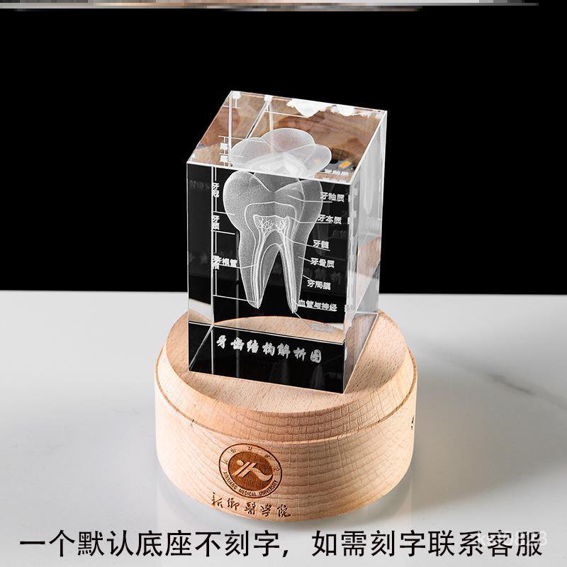 標本 動物頭骨 頭骨標本 頭骨 骨頭 牙科診所創意擺件水晶牙齒模型內鵰牙醫口腔科醫院醫學生紀念禮品