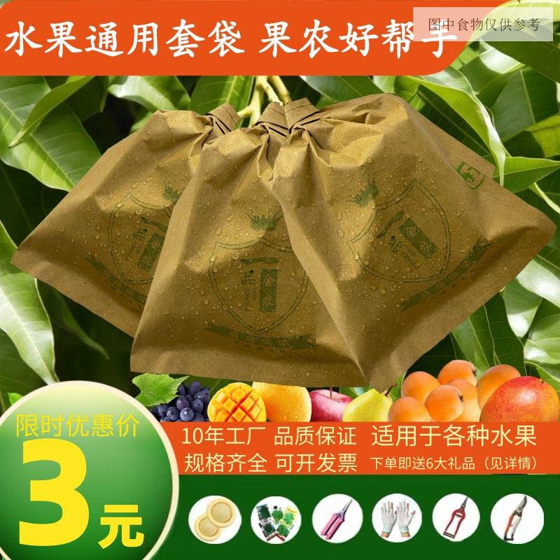 枇杷套袋專用袋芒果套袋枇杷袋梨套袋專用袋果袋套袋水果套袋防水 農用