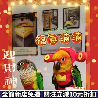 可愛寵物用品🌻保暖鸚鵡衣服鴿子 新年鳥衣服冬天鳥尿布 過年鸚鵡用品鴿子 保暖鳥衣服 鳥用品 鸚鵡保暖服鸚鵡尿布 鸚鵡外