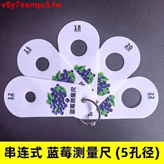 🌸熱賣特惠🌸藍莓標準大小尺子果徑卡尺鮮果分級櫻桃車釐子尺寸塑膠測量工具尺