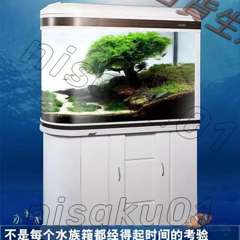 佳寶子彈頭屏風圓弧魚缸客廳家用大型水族箱玻璃0.8米生態魚缸