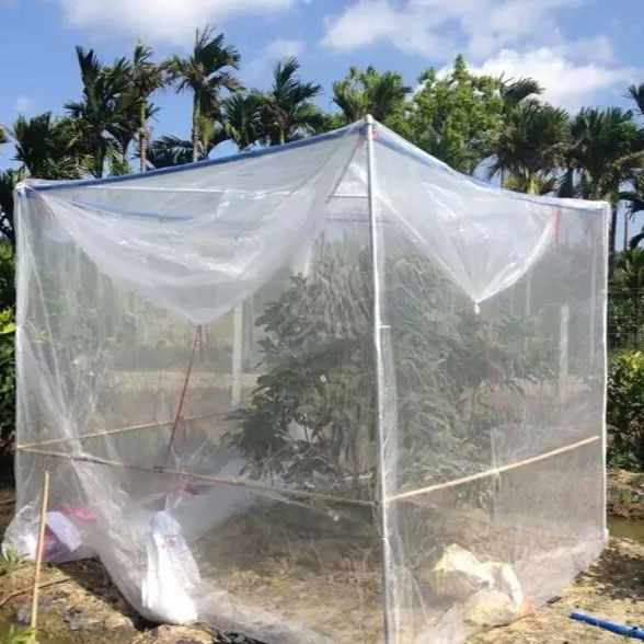 免運111防蟲網 園藝 農業 防鳥網 防風網 40目網罩 各種尺寸可供選擇 不含支架