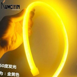 Flexible LED neon s with light emitting 360 degrees裝飾燈