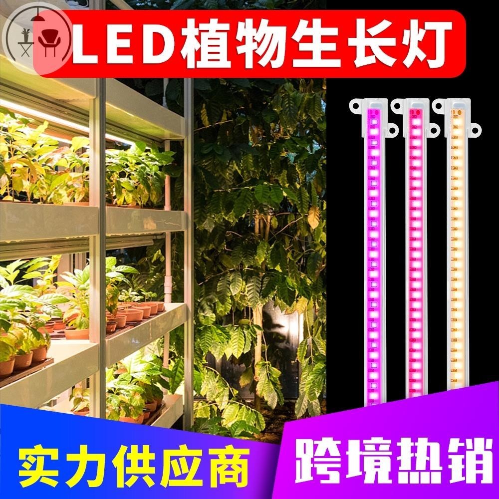 【LC】全光譜LED植物生長燈管USB可調光定時5V室內家用水培植物燈條園藝花卉幼苗植物種植櫥櫃架專用補光燈防水太陽光防