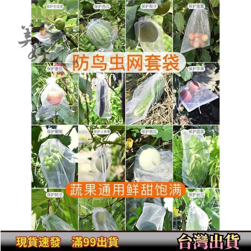 ♪ 防蟲網袋 ♪ 水果套袋果樹防鳥防蟲專用網袋葡萄無花果芭樂保護枇杷草莓袋子