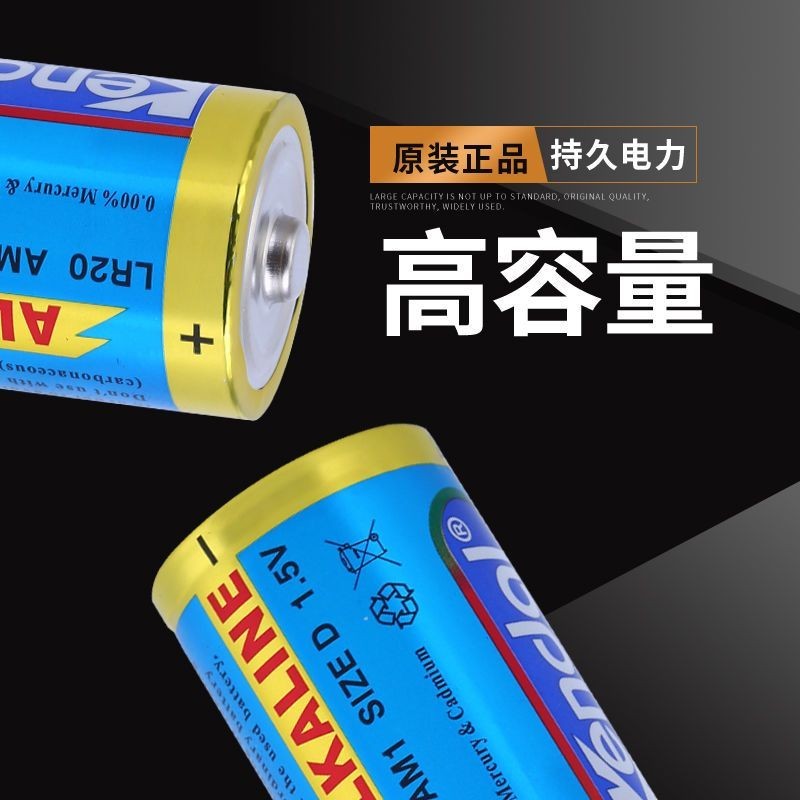 電池 1號電池 力王1號電池煤氣灶用堿性熱水器液化氣手電筒家用大號電池2粒裝