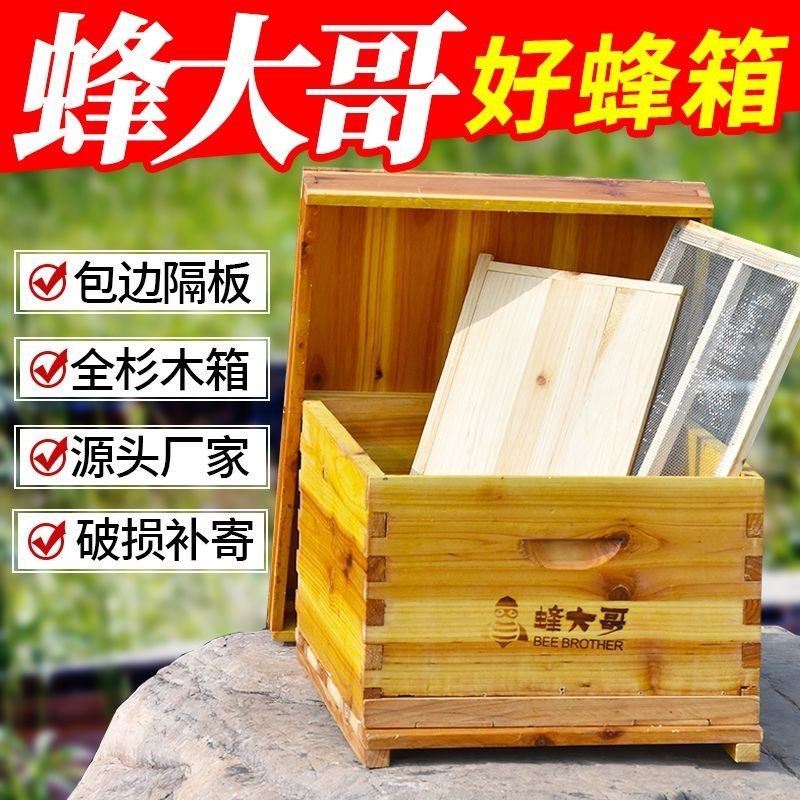 精選*蜂大哥蜂箱中蜂蜂箱蜜蜂箱七框蜂箱香杉木材質含沙蓋隔板養蜂工具