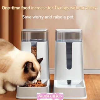 Cat Dog Food Dispenser Dog Food Cat Food Dosing Automatic Di