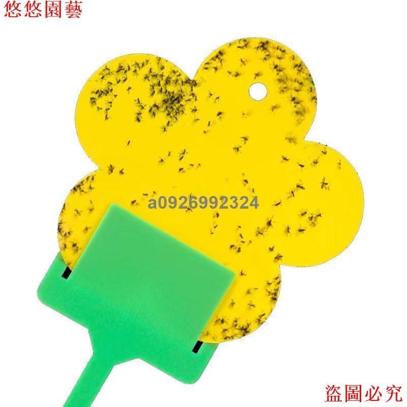 🚛【免運】花型誘蟲板強力雙面粘蟲板小黑飛粘蟲紙家用黃色果蠅誘蟲板誘捕器
