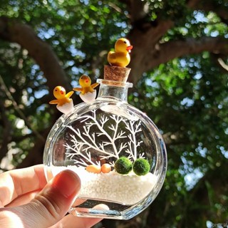 海藻球微景觀 MARIMO香水瓶生態瓶 水培植物 迷你盆栽 室內桌面玻璃瓶 DIY笑鋪