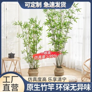 仿真竹子室內裝飾假竹子隔斷屏風擋墻造景室外裝飾竹盆栽加密綠植