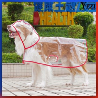 🐱🐶狗雨衣 中大型 寵物狗雨衣 大型狗雨衣 中型狗雨衣 寵物大狗外出透明四腳雨衣泰迪金毛拉佈拉多邊牧大型犬狗狗衣服
