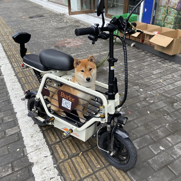 【活動大促】【賣場促銷】柏克小型迷你電動車超小便攜式親子款女士帶娃接送孩子遛狗寵物車