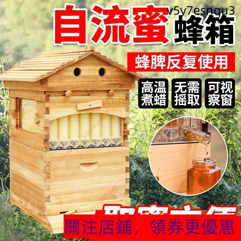 蜜蜂箱自流蜜全套養蜂箱雙層帶巢框自動取蜜器意蜂養蜂工具蜂大哥#龍年上新22