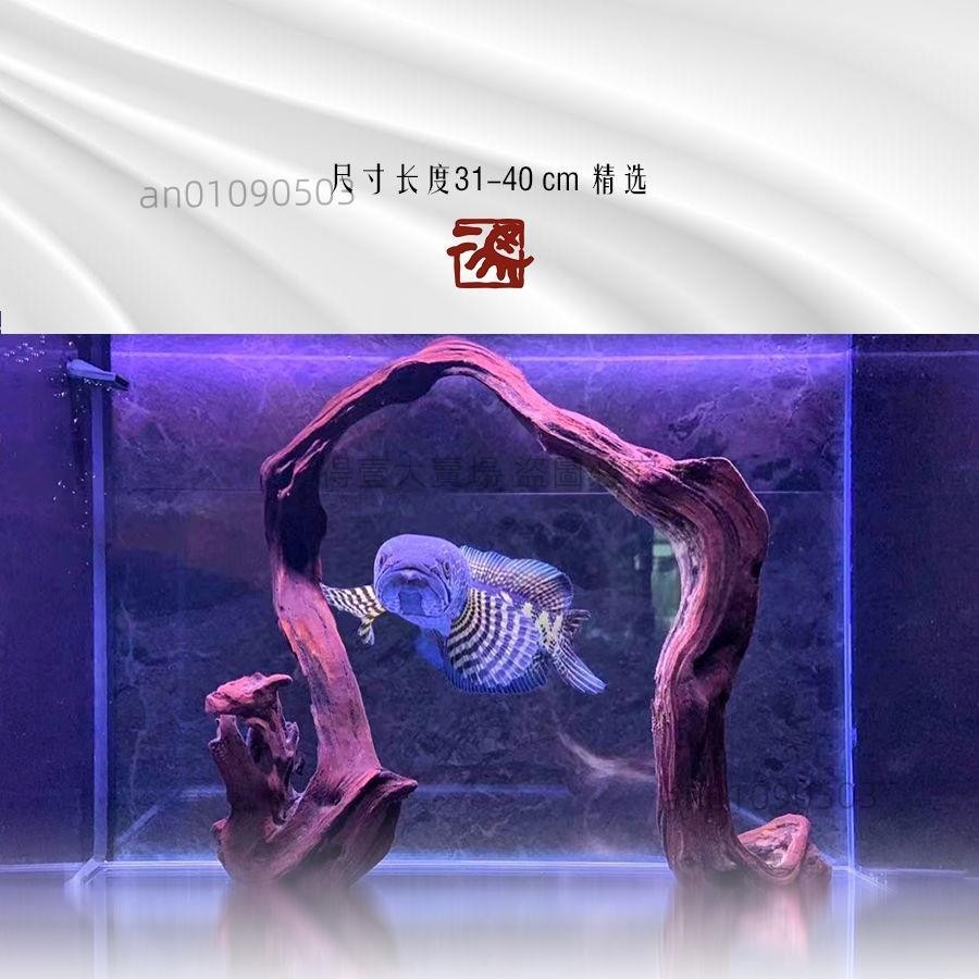 天然沉木造景 二馬 31-40cm小米米家魚缸擺件裝飾紫柚木免煮造景(得壹商行)